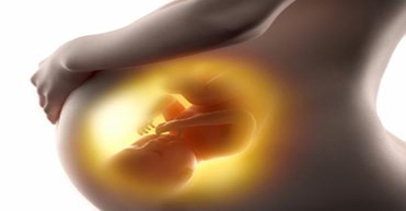 Embries, Fetos E Bebes Precisam Ser Salvos